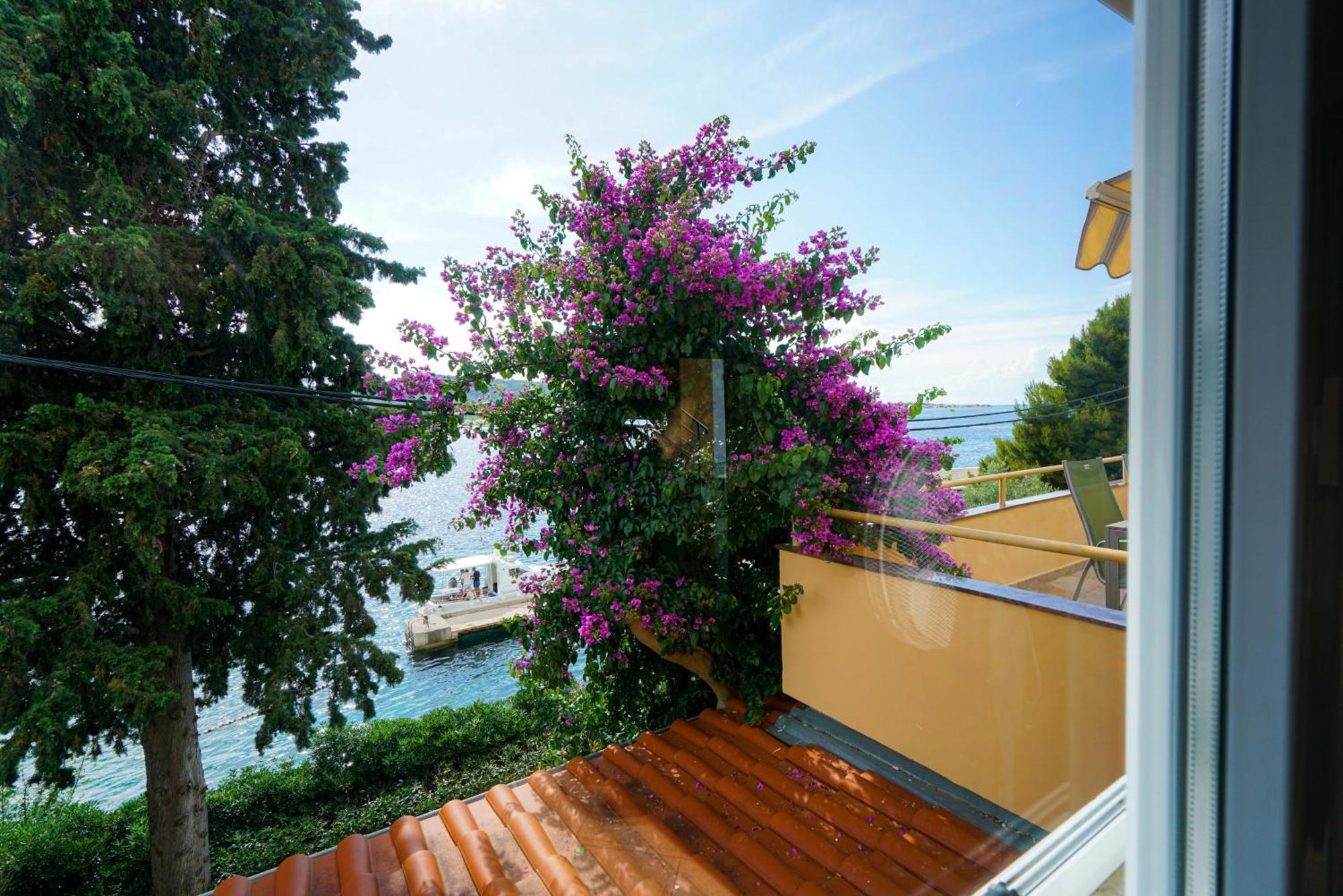 Apartments Osljak 프레코 외부 사진