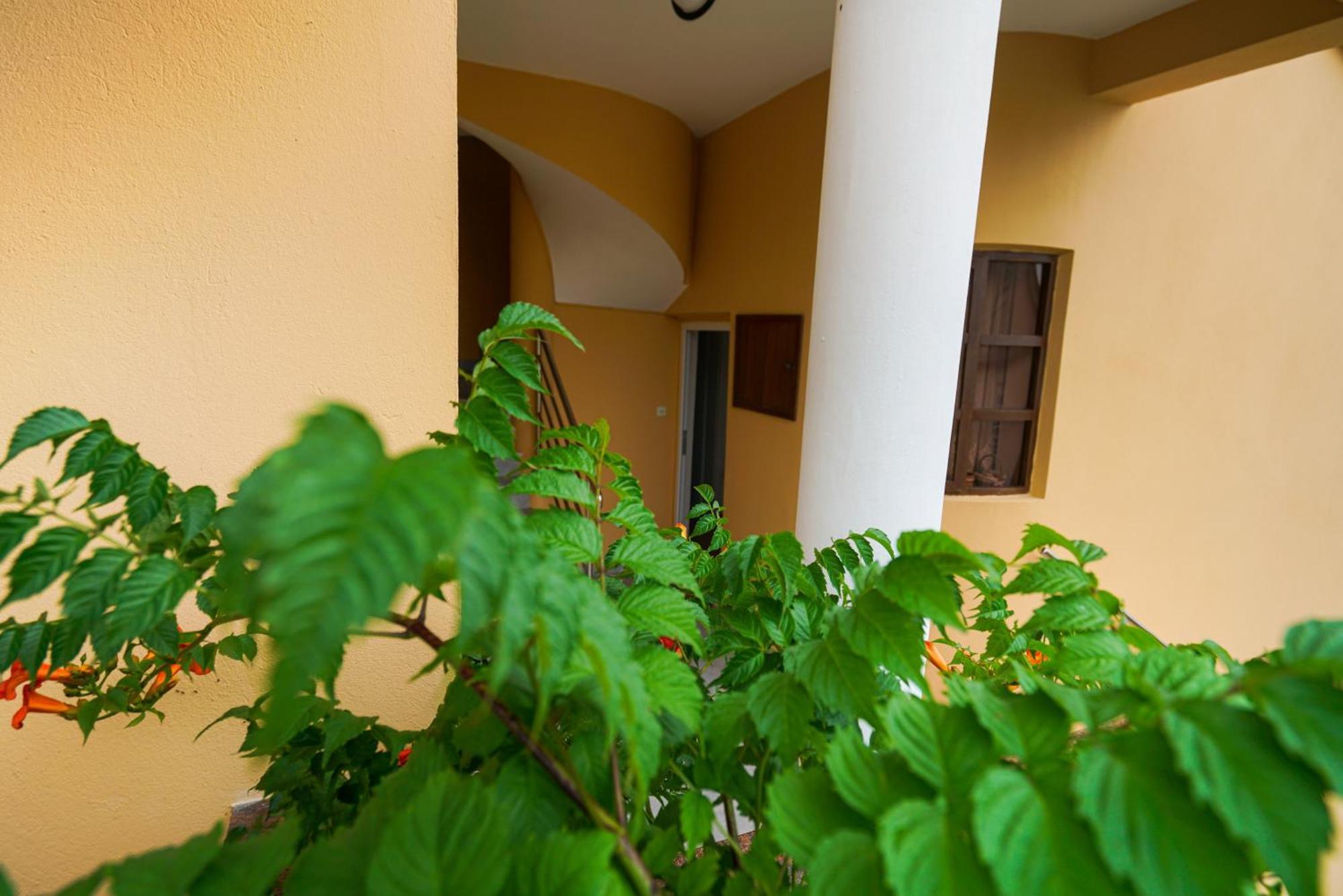Apartments Osljak 프레코 외부 사진
